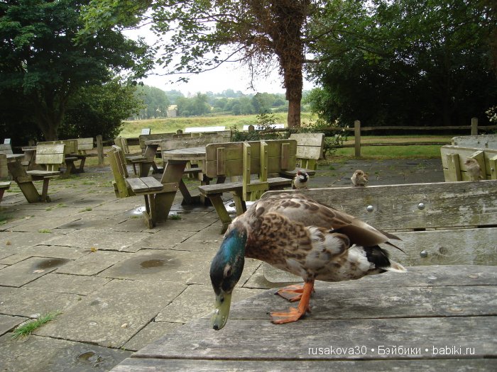 Вкусный топик ( не читать на ночь )