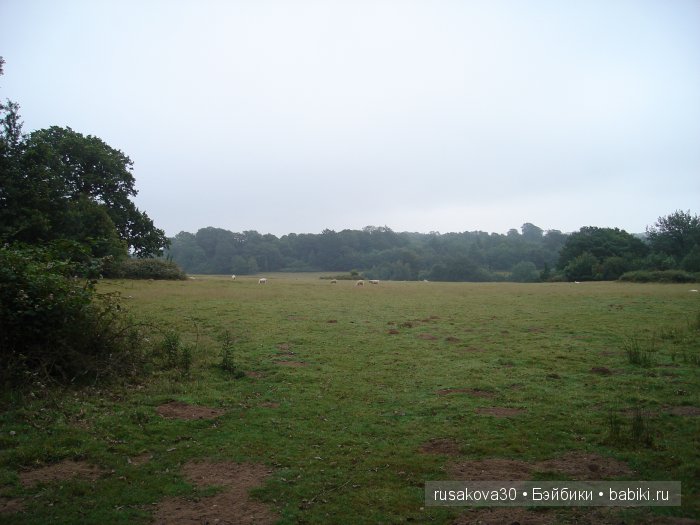 14 октября 1066 года - Битва при Гастингсе