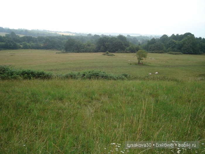 14 октября 1066 года - Битва при Гастингсе