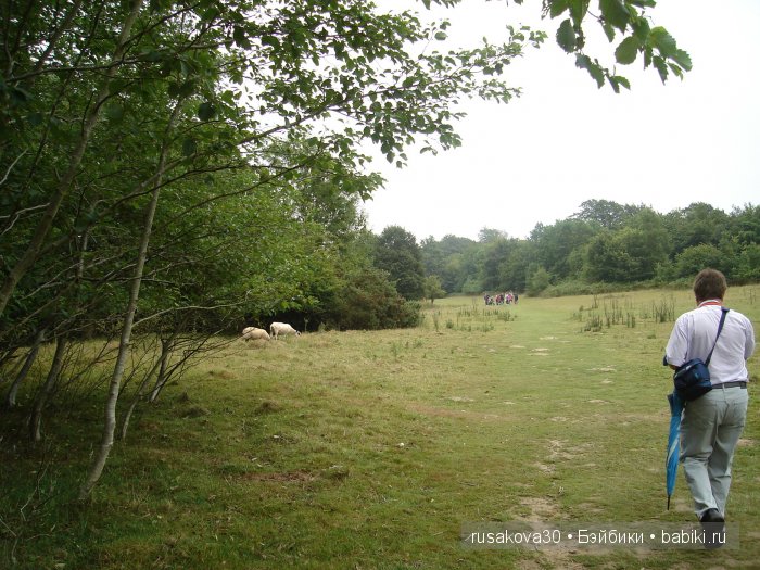 14 октября 1066 года - Битва при Гастингсе