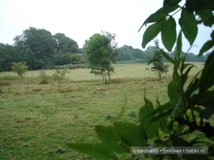 14 октября 1066 года - Битва при Гастингсе