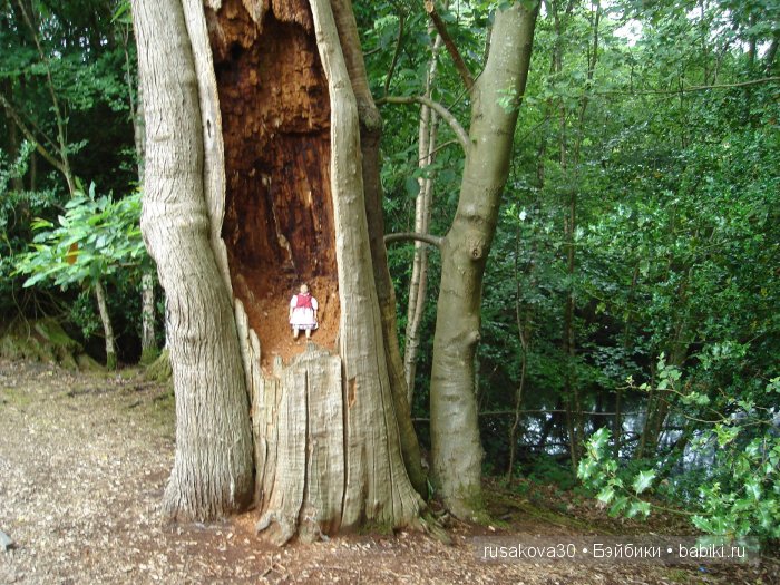 14 октября 1066 года - Битва при Гастингсе