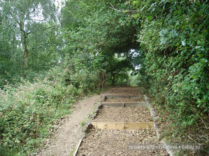 14 октября 1066 года - Битва при Гастингсе