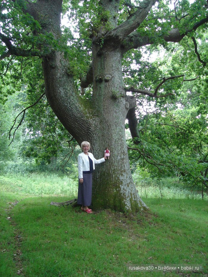 14 октября 1066 года - Битва при Гастингсе