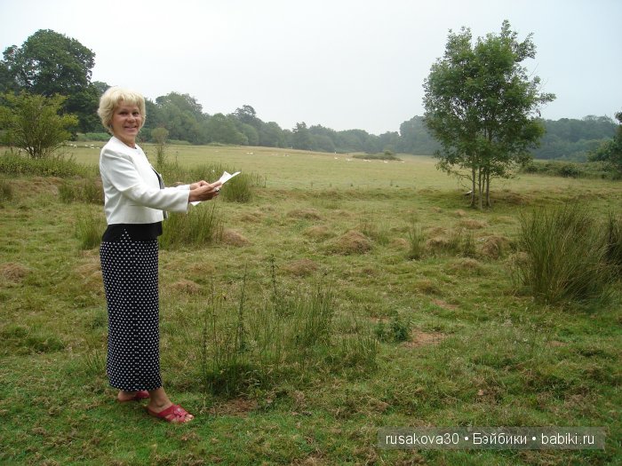 14 октября 1066 года - Битва при Гастингсе
