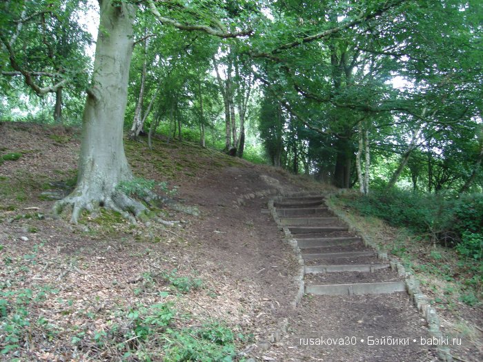 14 октября 1066 года - Битва при Гастингсе