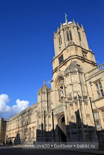 По следам Алисы и белого кролика