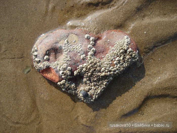 Море, море - мир бездонный, Пенный шелест волн прибрежных