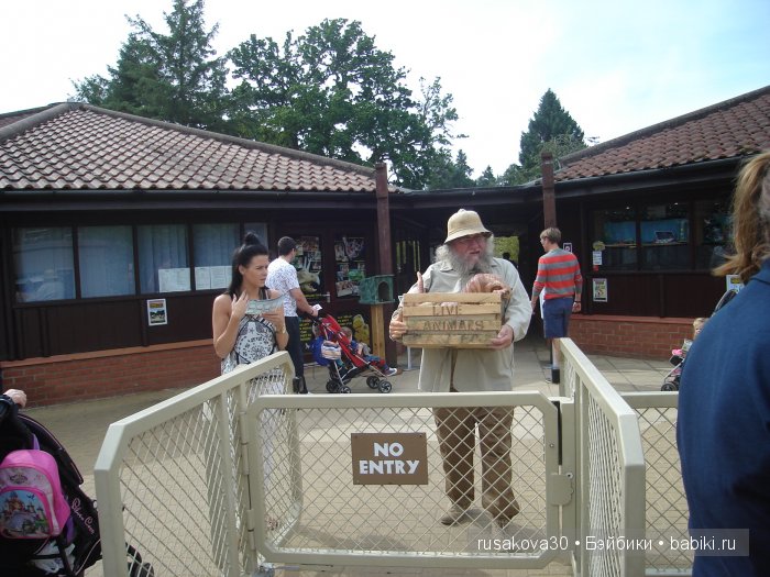 Экскурсия в парк динозавров (фото 4)