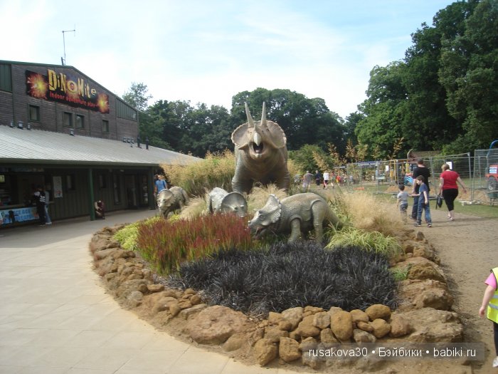 Экскурсия в парк динозавров (фото 9)