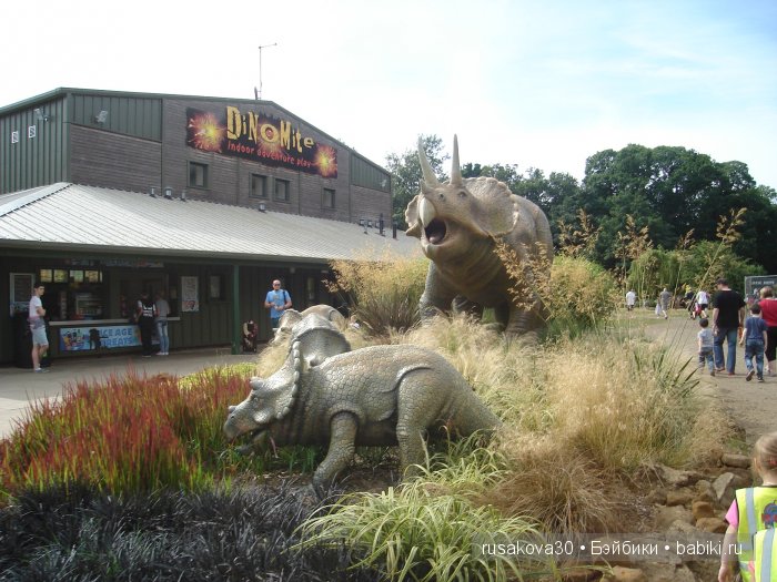 Экскурсия в парк динозавров (фото 10)