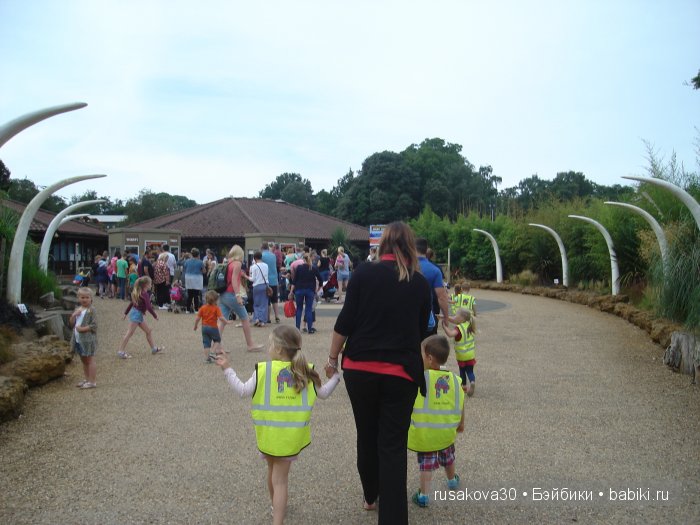 Экскурсия в парк динозавров (фото 2)