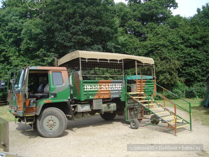 Экскурсия в парк динозавров