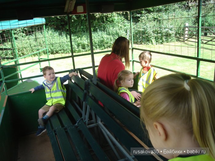 Экскурсия в парк динозавров