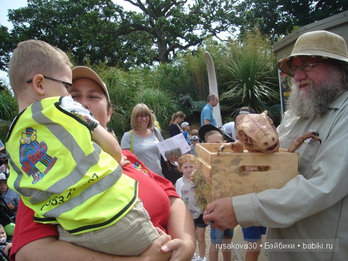 Экскурсия в парк динозавров (фото 6)