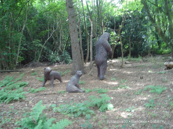 Экскурсия в парк динозавров