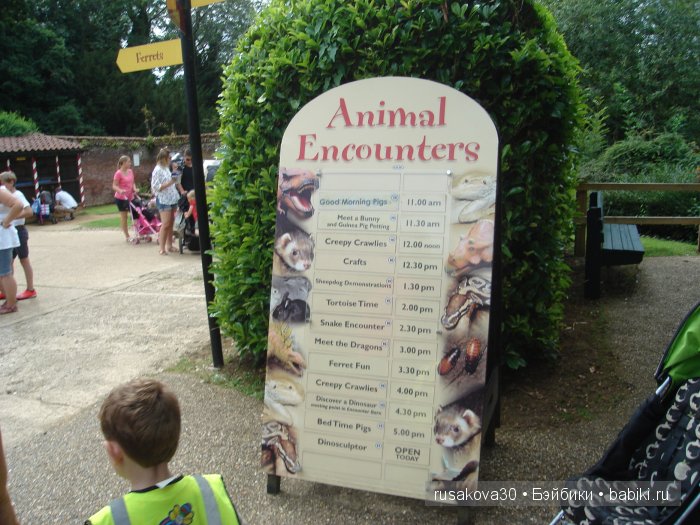 Экскурсия в парк динозавров