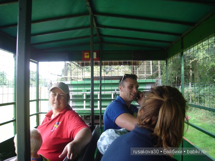 Экскурсия в парк динозавров