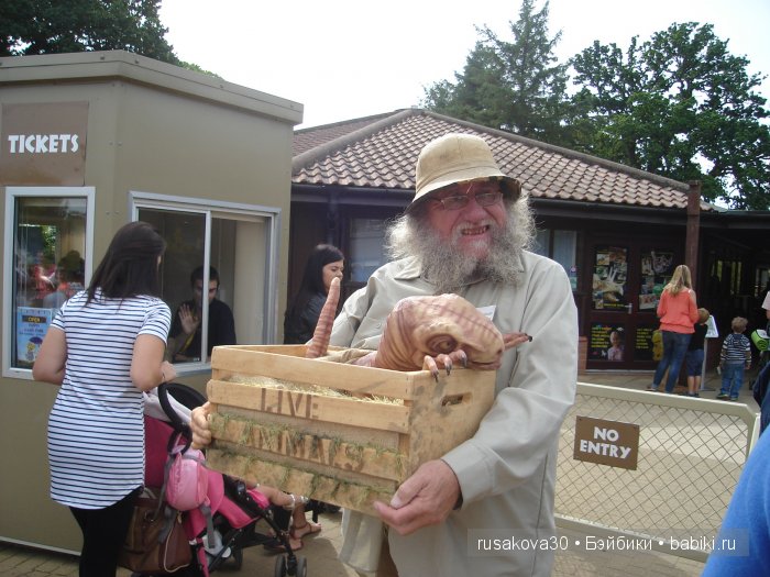 Экскурсия в парк динозавров (фото 5)