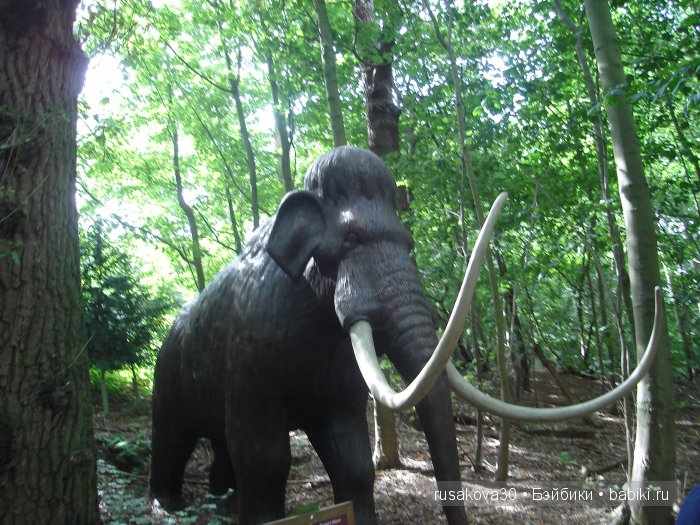 Экскурсия в парк динозавров