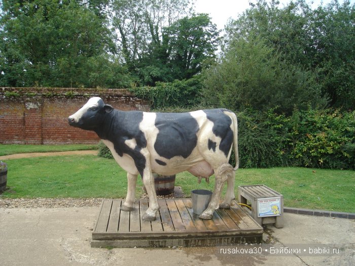 Экскурсия в парк динозавров