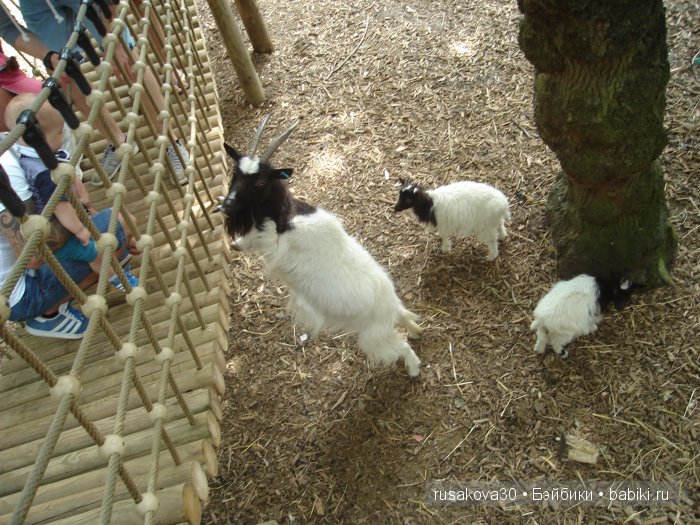 Экскурсия в парк динозавров