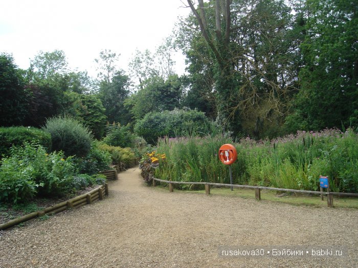 Экскурсия в парк динозавров