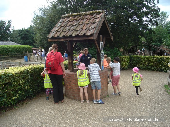 Экскурсия в парк динозавров
