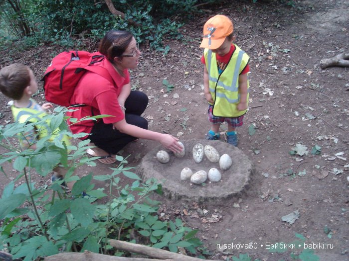 Экскурсия в парк динозавров