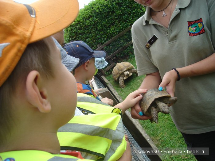 Экскурсия в парк динозавров