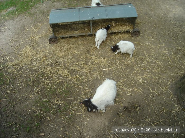 Экскурсия в парк динозавров