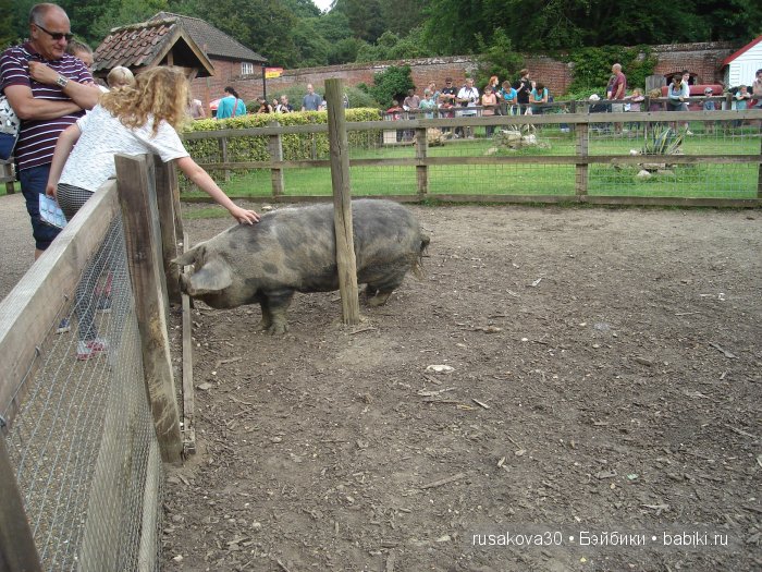 Экскурсия в парк динозавров