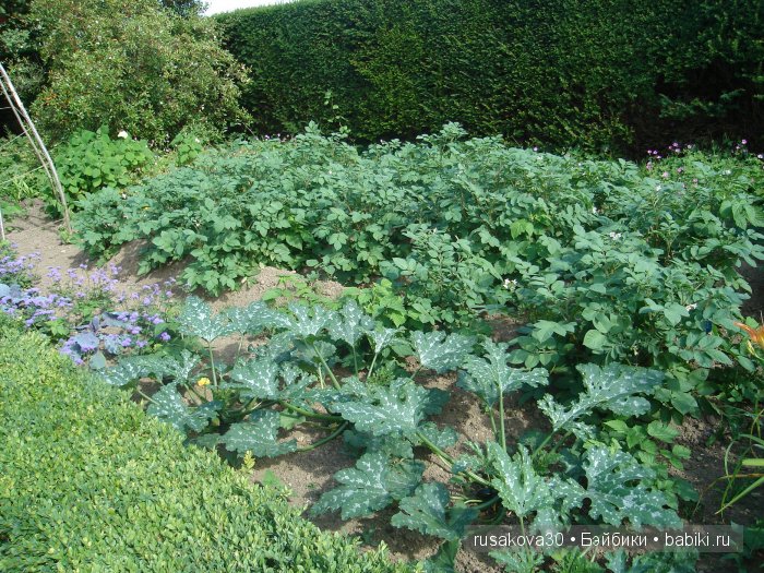 Джо́зеф Ре́дьярд Ки́плинг "Сказки старой Англии."(продолжение )