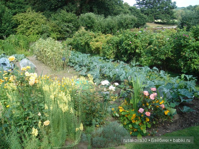 Джо́зеф Ре́дьярд Ки́плинг "Сказки старой Англии."(продолжение )