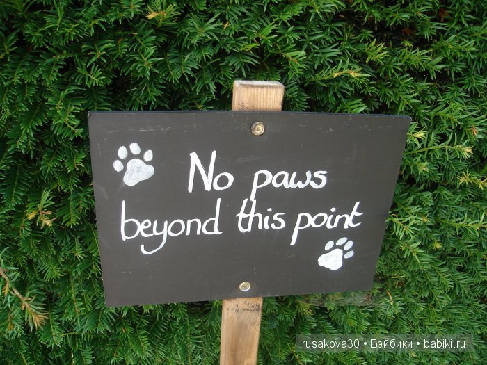 Джо́зеф Ре́дьярд Ки́плинг "Сказки старой Англии."(продолжение )