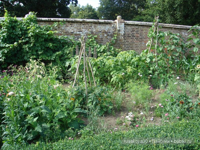 Джо́зеф Ре́дьярд Ки́плинг "Сказки старой Англии."(продолжение )