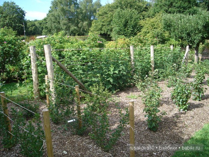 Джо́зеф Ре́дьярд Ки́плинг "Сказки старой Англии."(продолжение )