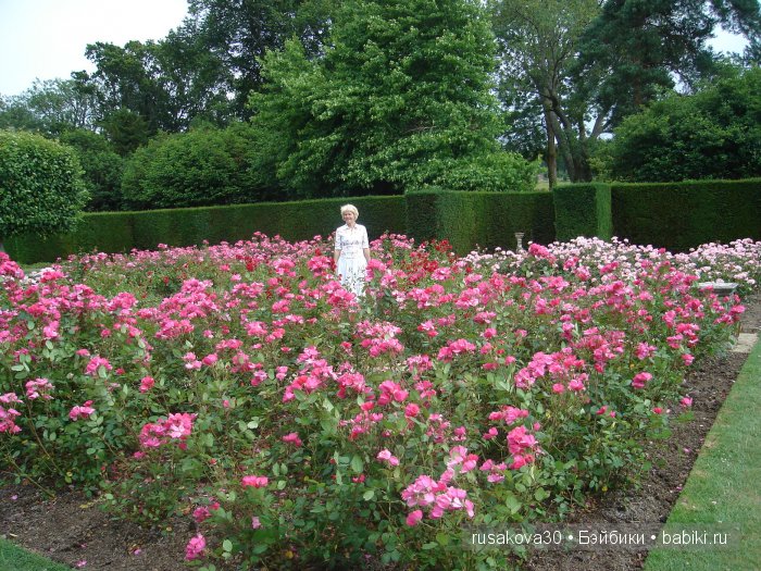 Джо́зеф Ре́дьярд Ки́плинг "Сказки старой Англии."(продолжение )