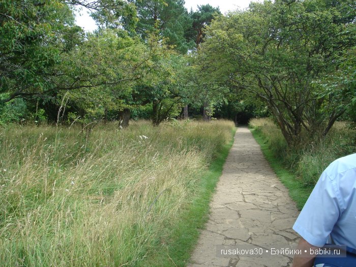 Джо́зеф Ре́дьярд Ки́плинг "Сказки старой Англии."(продолжение )