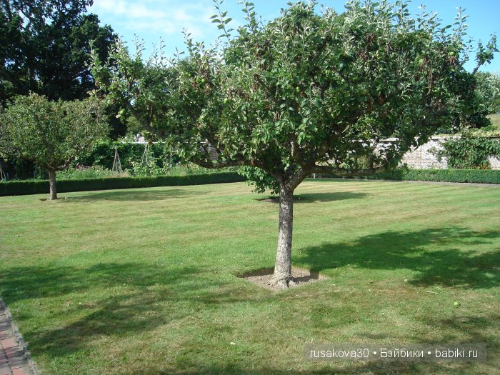 Джо́зеф Ре́дьярд Ки́плинг "Сказки старой Англии."(продолжение )