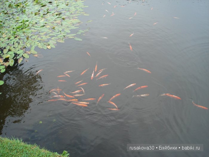 Джо́зеф Ре́дьярд Ки́плинг "Сказки старой Англии."(продолжение )