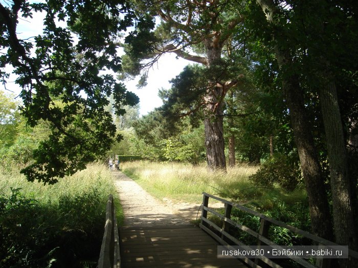 Джо́зеф Ре́дьярд Ки́плинг "Сказки старой Англии."(продолжение )