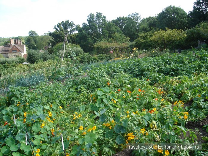 Джо́зеф Ре́дьярд Ки́плинг "Сказки старой Англии."(продолжение )