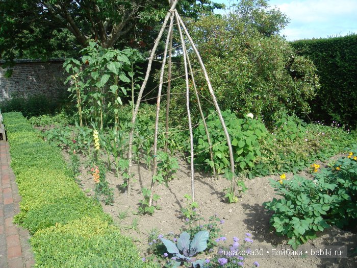 Джо́зеф Ре́дьярд Ки́плинг "Сказки старой Англии."(продолжение )