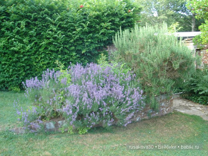 Джо́зеф Ре́дьярд Ки́плинг "Сказки старой Англии."(продолжение )