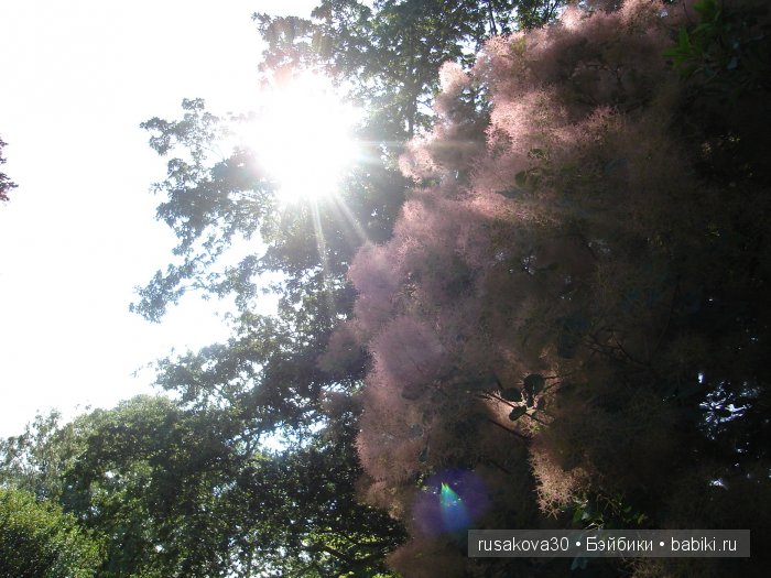 Джо́зеф Ре́дьярд Ки́плинг "Сказки старой Англии."(продолжение )