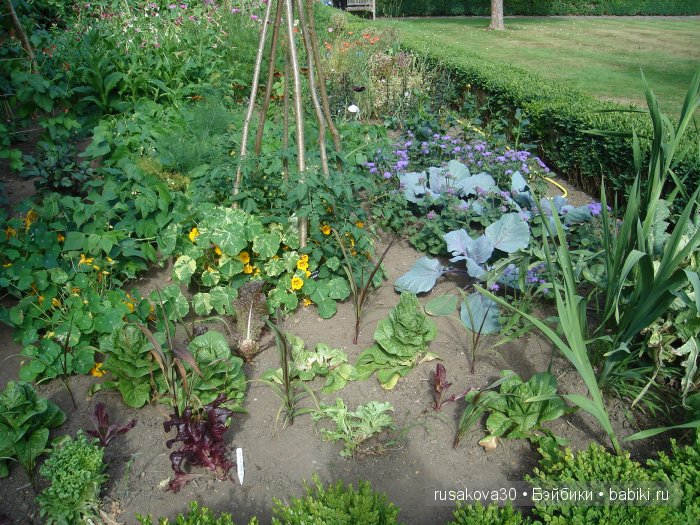 Джо́зеф Ре́дьярд Ки́плинг "Сказки старой Англии."(продолжение )