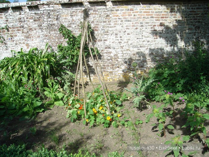 Джо́зеф Ре́дьярд Ки́плинг "Сказки старой Англии."(продолжение )