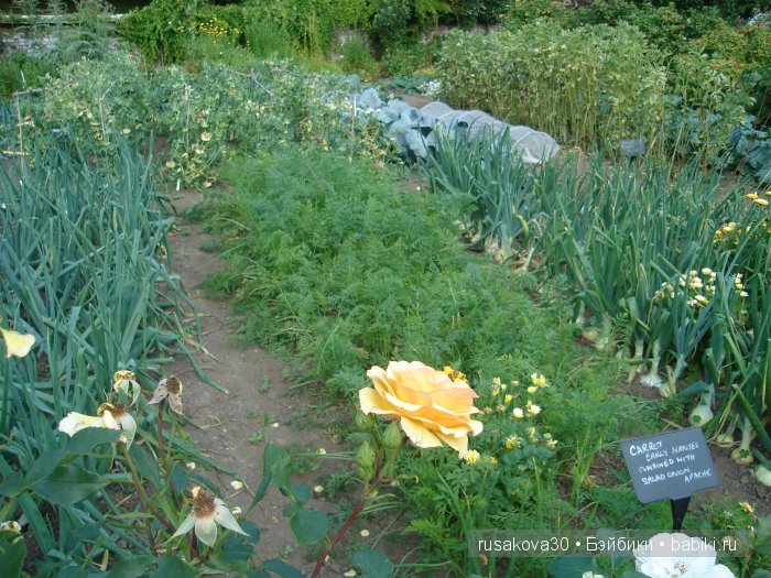 Джо́зеф Ре́дьярд Ки́плинг "Сказки старой Англии."(продолжение )
