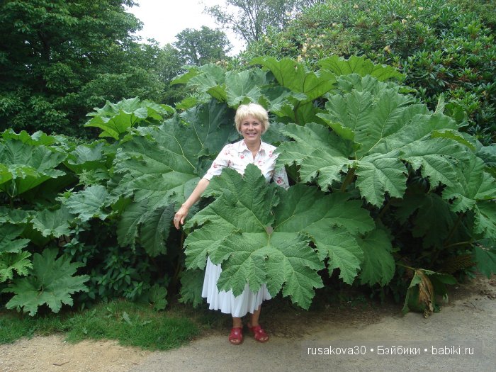 Замок Скотни (Scotney Castle) ,старый замок в котором живет привидение